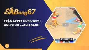 TRẬN 4 CPC2 28/05/2025 : ANH VINH vs ANH DANH