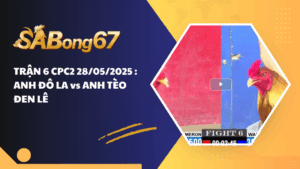 TRẬN 6 CPC2 28/05/2025 : ANH ĐÔ LA vs ANH TÈO ĐEN LÊ