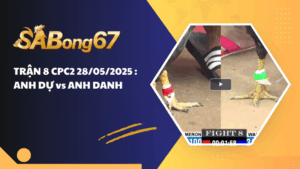 TRẬN 8 CPC2 28/05/2025 : ANH DỰ vs ANH DANH