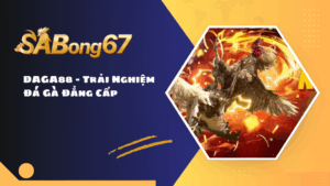 DAGA88 - Trải Nghiệm Đá Gà Đẳng Cấp