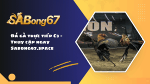 Đá gà trực tiếp C3 - Truy cập ngay Sabong67.space