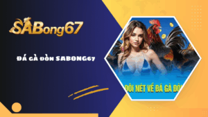 Đá gà đòn SABONG67