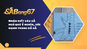 Nhận biết vảy gà ngũ quỷ ý nghĩa, sức mạnh trong đá gà