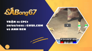 TRẬN 25 CPC1 29/05/2025 : GVUI.COM vs ANH REN