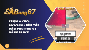 TRẬN 21 CPC3 30/5/2025 : KÈO TÁI ĐẤU PHU PHU VS ĐĂNG BLACK