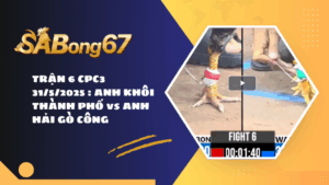 TRẬN 6 CPC3 31/5/2025 : ANH KHÔI THÀNH PHỐ vs ANH HẢI GÒ CÔNG
