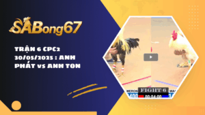 TRẬN 6 CPC2 30/05/2025 : ANH PHÁT vs ANH TON