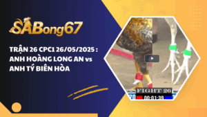 TRẬN 26 CPC1 26/05/2025 : ANH HOÀNG LONG AN vs ANH TÝ BIÊN HÒA