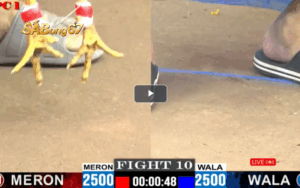TRẬN 10 CPC1 26 05 2025 ANH LỘC TÂY NINH VS ANH OANH SÀI GÒN