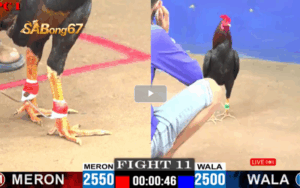 TRẬN 11 CPC1 26052025 ANH CB VS ANH TÙNG BÌNH DƯƠNG