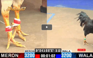 TRẬN 12 CPC1 26 05 2025 ANH DỰ VŨNG TÀU VS ANH REN