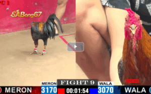 TRẬN 9 CPC1 26 05 2025 ANH REN VS ANH TÙNG
