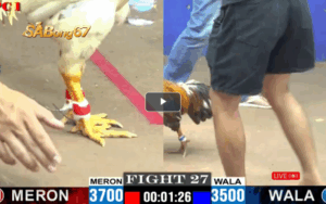 Trận 27 CPC1 27/05/2025 : ANH HÒA VS ANH BÉ