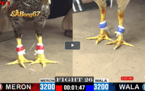 TRẬN 26 CPC1 27/05/2025 : ANH LÙN VS ANH HÒA