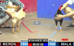 TRẬN 25 CPC1 27/05/2025 : ANH TIỀN VS ANH TÂM
