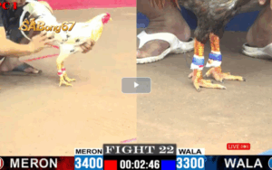 TRẬN 22 CPC1 27/05/2025 : AZ888 VS ANH HIẾU
