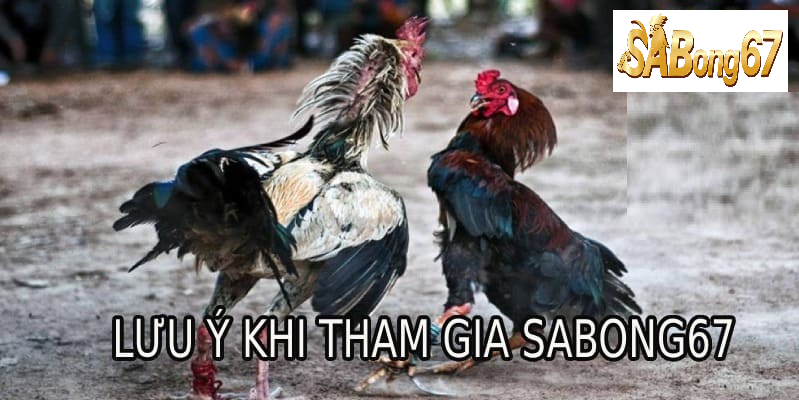 Lưu ý khi đăng ký tham gia SABONG67