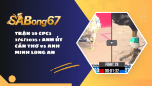 TRẬN 29 CPC3 2/6/2025 : ANH ÚT CẦN THƠ vs ANH MINH LONG AN