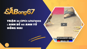 TRẬN 33 CPC1 3/6/2025 : ANH BÉ vs ANH TÝ ĐỒNG NAI