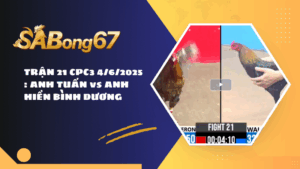 TRẬN 21 CPC3 4/6/2025 : ANH TUẤN vs ANH HIỀN BÌNH DƯƠNG