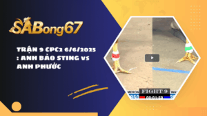 TRẬN 9 CPC2 6/6/2025 : ANH BẢO STING vs ANH PHƯỚC