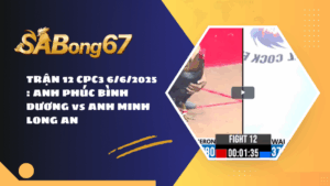 TRẬN 12 CPC3 6/6/2025 : ANH PHÚC BÌNH DƯƠNG vs ANH MINH LONG AN
