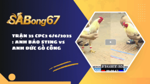 TRẬN 35 CPC2 6/6/2025 : ANH BẢO STING vs ANH ĐỨC GÒ CÔNG