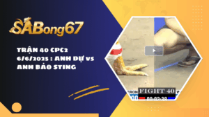 TRẬN 40 CPC2 6/6/2025 : ANH DỰ vs ANH BẢO STING