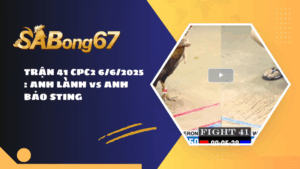 TRẬN 41 CPC2 6/6/2025 : ANH LÀNH vs ANH BẢO STING