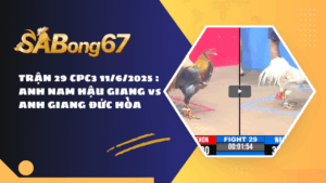 TRẬN 29 CPC3 11/6/2025 : ANH NAM HẬU GIANG vs ANH GIANG ĐỨC HÒA