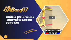 TRẬN 36 CPC1 7/6/2025 : ANH TRÍ vs ANH DỰ VŨNG TÀU