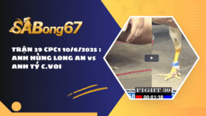 TRẬN 39 CPC1 10/6/2025 : ANH HÙNG LONG AN vs ANH TÝ C.VOI