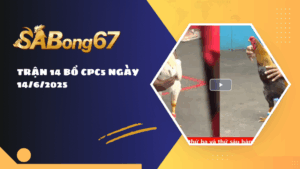 TRẬN 14 BỒ CPC5 NGÀY 14/6/2025