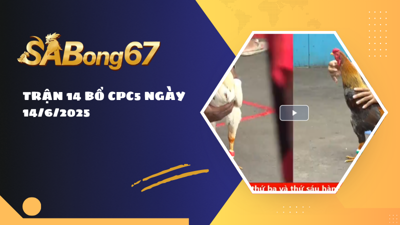 TRẬN 14 BỒ CPC5 NGÀY 14/6/2025