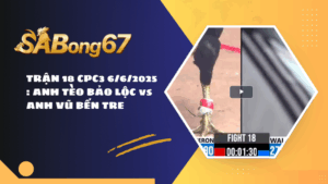 TRẬN 18 CPC3 6/6/2025 : ANH TÈO BẢO LỘC vs ANH VŨ BẾN TRE