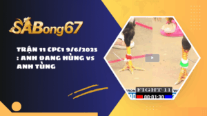 TRẬN 11 CPC1 9/6/2025 : ANH ĐANG HÙNG vs ANH TÙNG