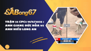 TRẬN 33 CPC3 11/6/2025 : ANH GIANG ĐỨC HÒA vs ANH HIẾU LONG AN