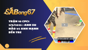 TRẬN 10 CPC1 2/6/2025 : ANH SU HÀO vs ANH MẠNH BẾN TRE