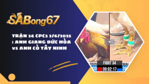 TRẬN 34 CPC3 3/6/2025 : ANH GIANG ĐỨC HÒA vs ANH CÒ TÂY NINH