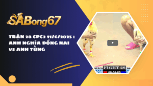 TRẬN 28 CPC2 11/6/2025 : ANH NGHĨA ĐỒNG NAI vs ANH TÙNG