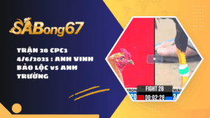 TRẬN 28 CPC3 4/6/2025 : ANH VINH BẢO LỘC vs ANH TRƯỜNG