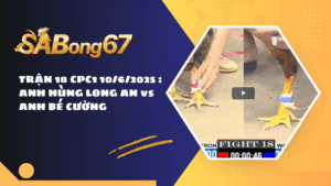 TRẬN 18 CPC1 10/6/2025 : ANH HÙNG LONG AN vs ANH BÉ CƯỜNG