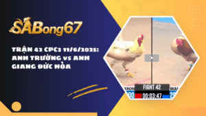 TRẬN 42 CPC3 11/6/2025 : ANH TRƯỜNG vs ANH GIANG ĐỨC HÒA