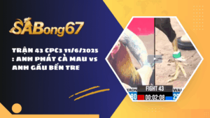 TRẬN 43 CPC3 11/6/2025 : ANH PHÁT CÀ MAU vs ANH GẤU BẾN TRE