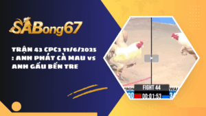 TRẬN 44 CPC3 11/6/2025: ANH TÈO BẢO LỘC vs ANH TUẤN BÌNH DƯƠNG