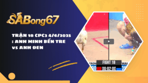 TRẬN 18 CPC3 4/6/2025 : ANH MINH BẾN TRE vs ANH ĐEN
